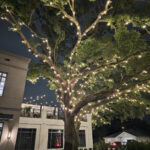 Projects 35 Harlow_Grove_3